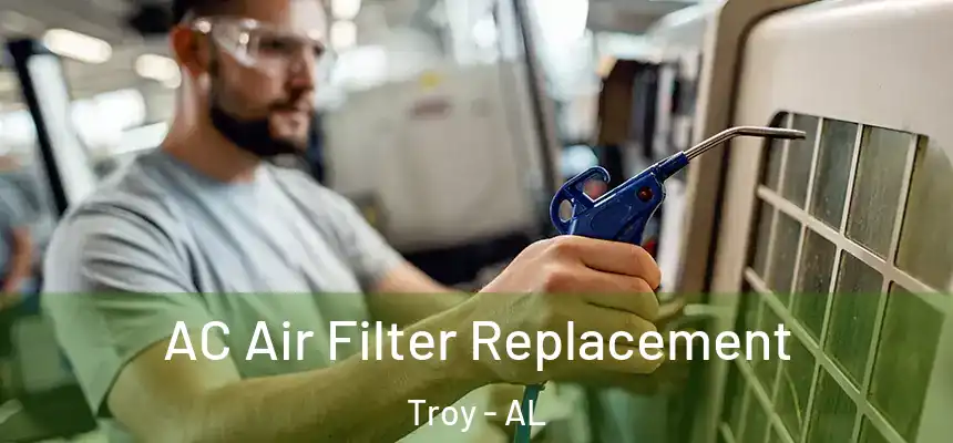 AC Air Filter Replacement Troy - AL
