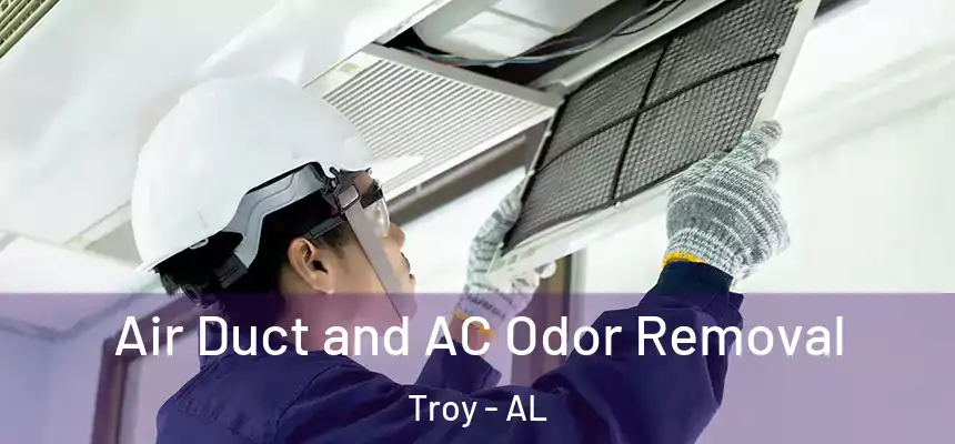 Air Duct and AC Odor Removal Troy - AL