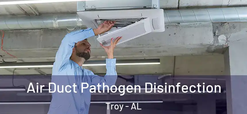 Air Duct Pathogen Disinfection Troy - AL
