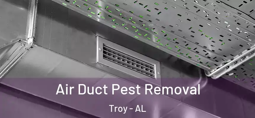 Air Duct Pest Removal Troy - AL