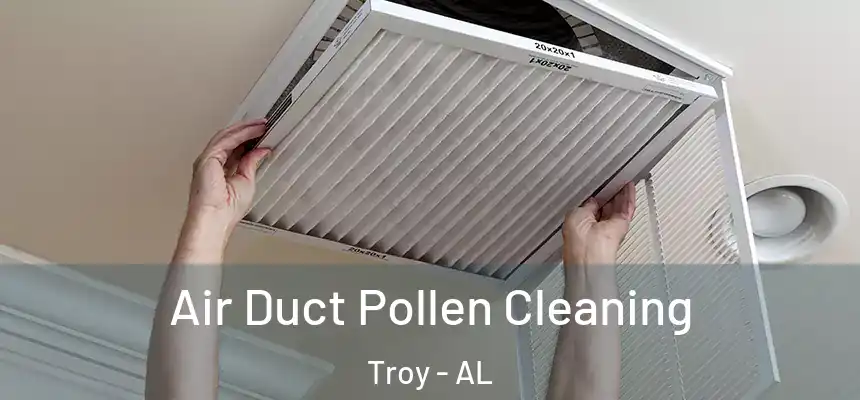  Air Duct Pollen Cleaning Troy - AL