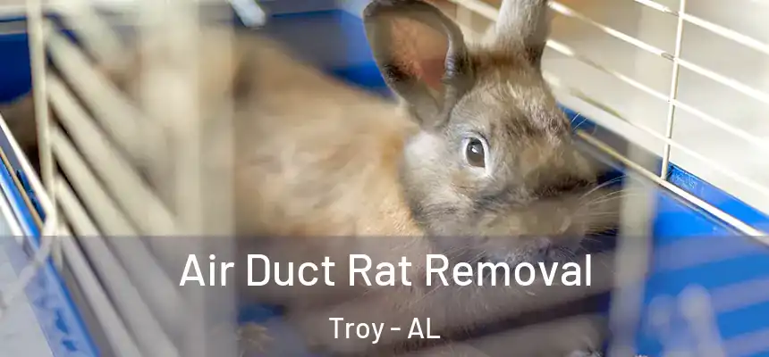 Air Duct Rat Removal Troy - AL