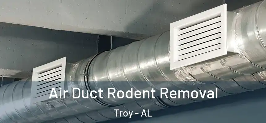 Air Duct Rodent Removal Troy - AL