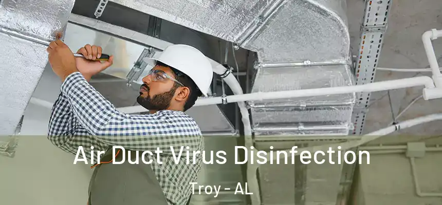 Air Duct Virus Disinfection Troy - AL