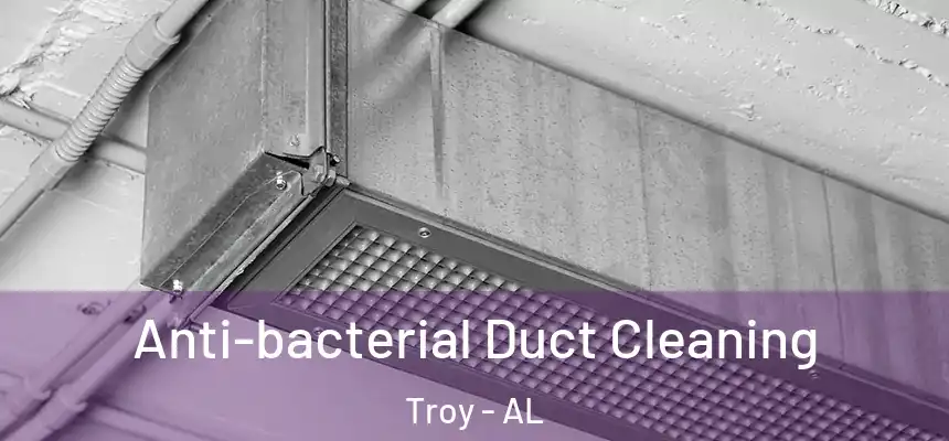 Anti-bacterial Duct Cleaning Troy - AL