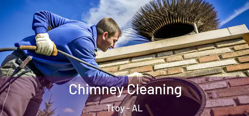 Chimney Cleaning Troy - AL