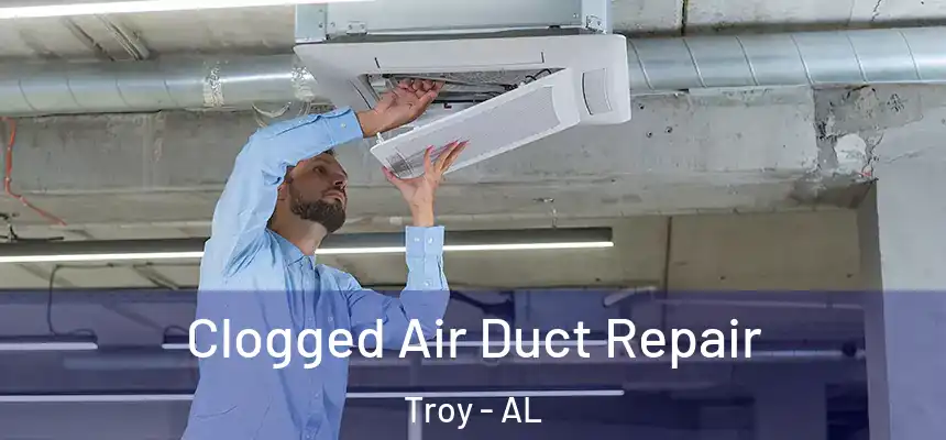  Clogged Air Duct Repair Troy - AL