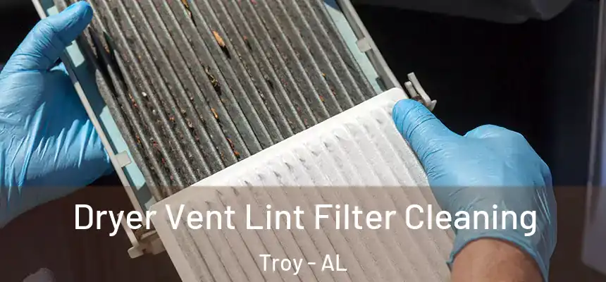 Dryer Vent Lint Filter Cleaning Troy - AL