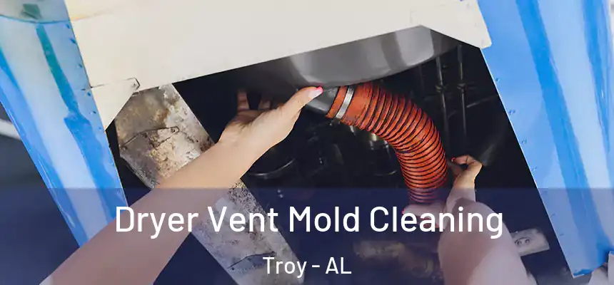 Dryer Vent Mold Cleaning Troy - AL