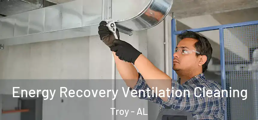 Energy Recovery Ventilation Cleaning Troy - AL