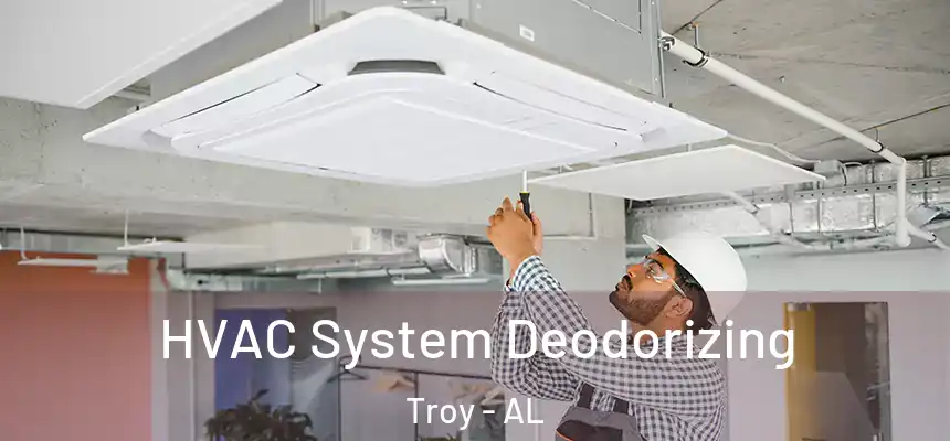 HVAC System Deodorizing Troy - AL