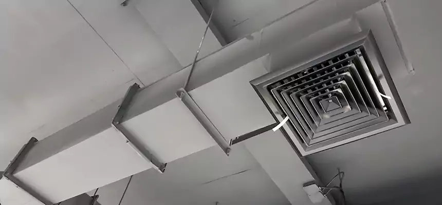 Our Rodent Droppings In Vents Services in Troy, AL