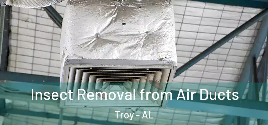 Insect Removal from Air Ducts Troy - AL