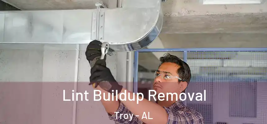 Lint Buildup Removal Troy - AL
