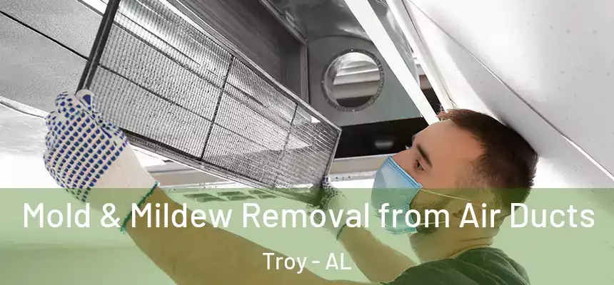 Mold & Mildew Removal from Air Ducts Troy - AL