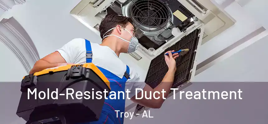 Mold-Resistant Duct Treatment Troy - AL