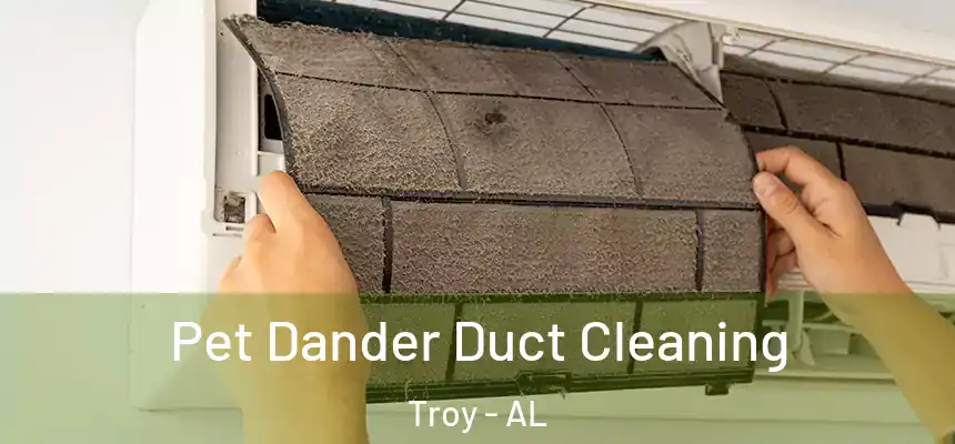 Pet Dander Duct Cleaning Troy - AL