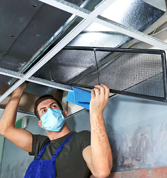 Professional Air Duct Pollen Cleaning in Troy, AL