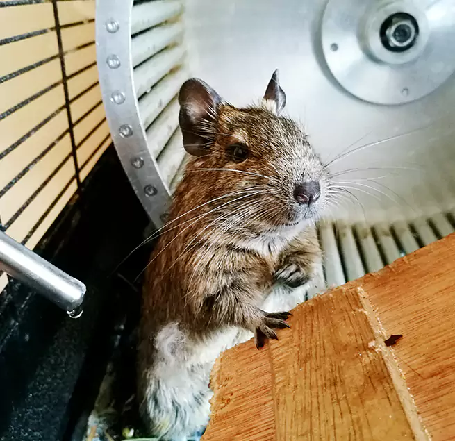 Why Homeowners & Businesses Trust Us Troy, AL?