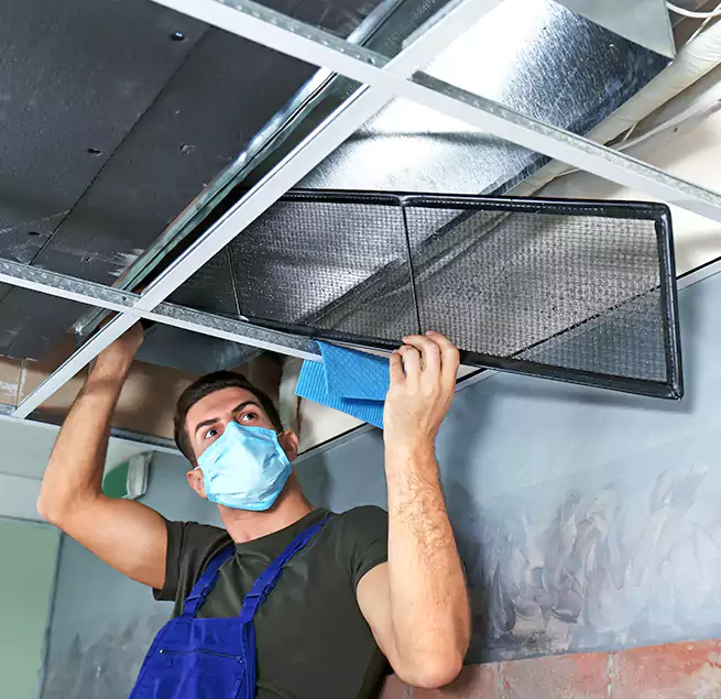 Why Homeowners Businesses Trust Us in Troy, AL