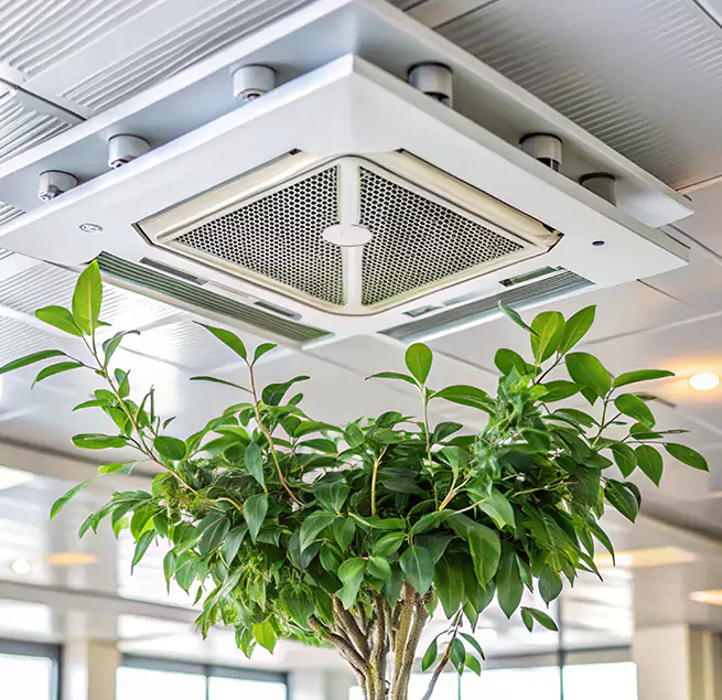 Why Homeowners & Businesses Trust Us in Troy, AL