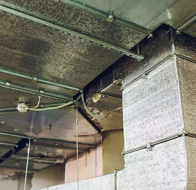 Why Homeowners & Businesses Trust Us in Troy, AL?