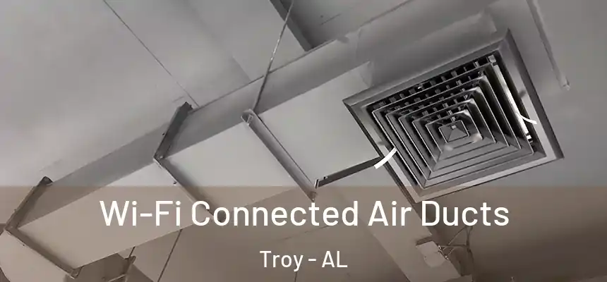 Wi-Fi Connected Air Ducts Troy - AL